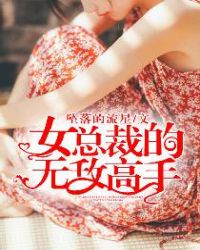女总裁的无敌保镖的小说